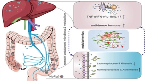09c447c0157dd5eddc1091141c0d69bd.png 批注 2020-06-15 160553_副本.png