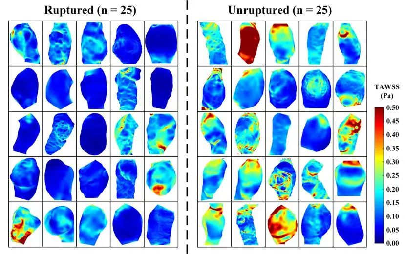 1745068260395470.jpg 1745068260395470.jpg